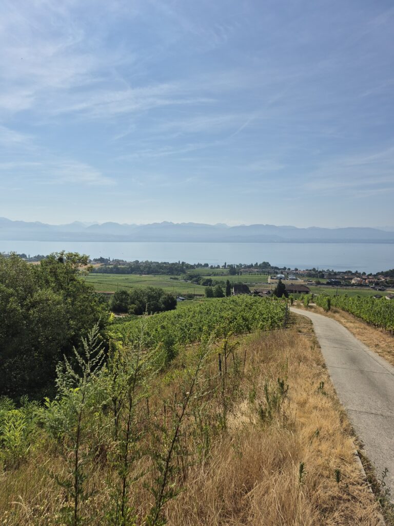 chemin Abbesse du lac vue lac